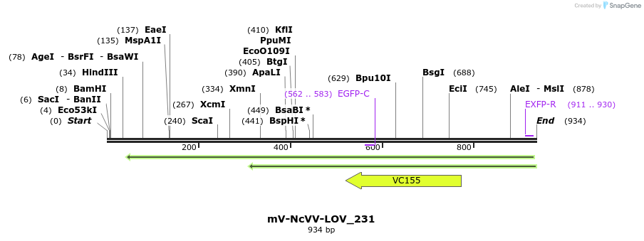93702_map