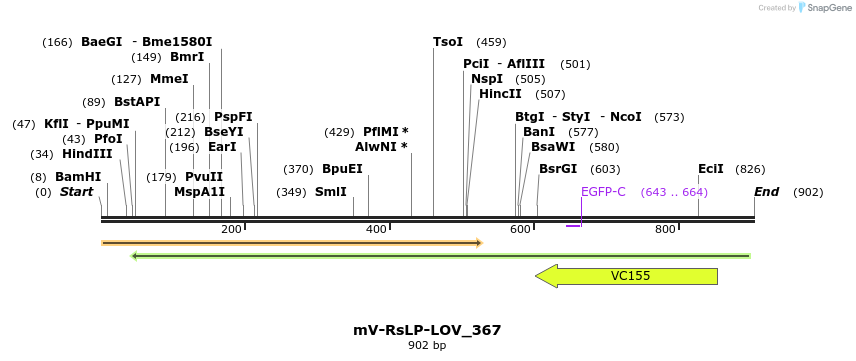 93703_map