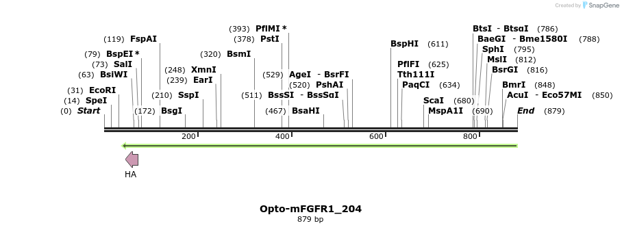 93705_map