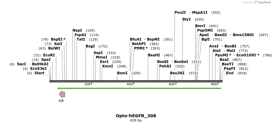 93706_map