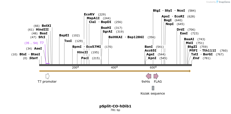 93708_map