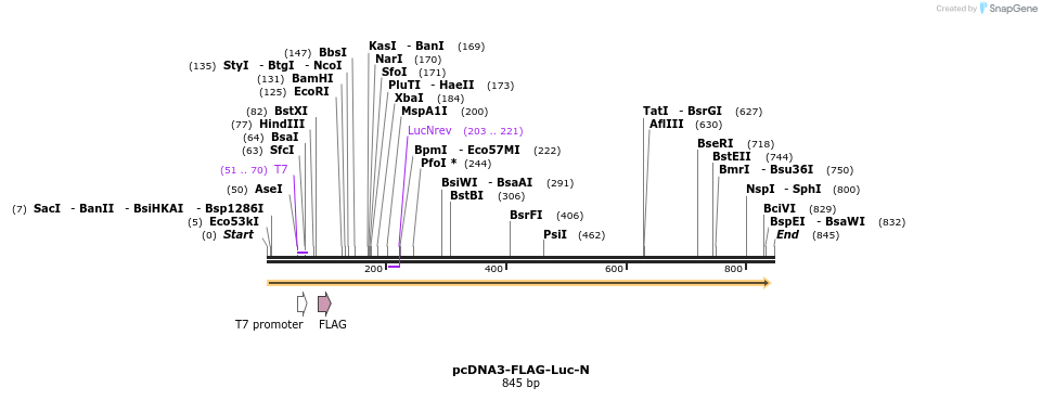 93710_map
