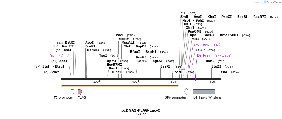 93712_map