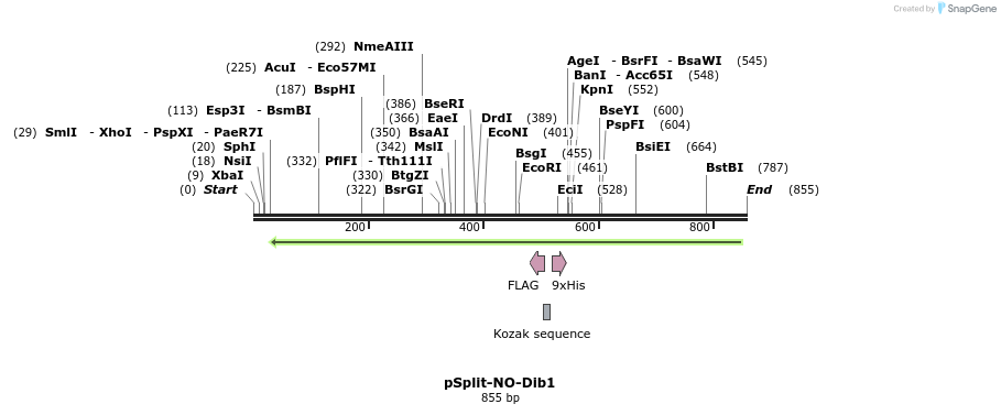 93718_map