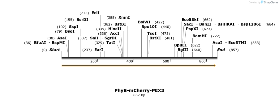 93720_map