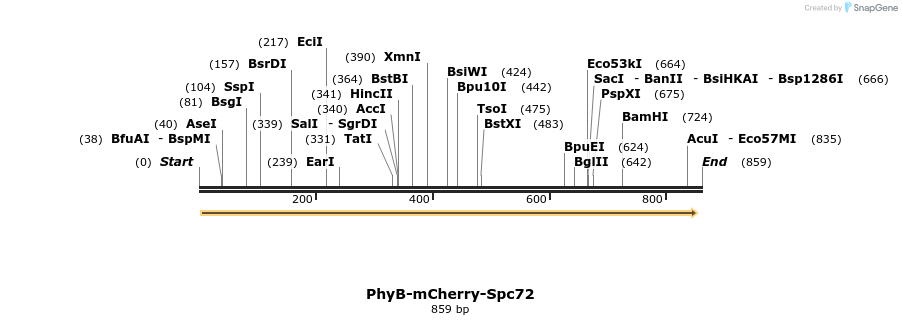 93721_map