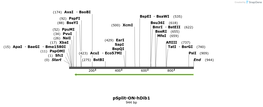 93722_map