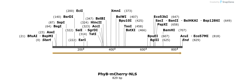 93723_map