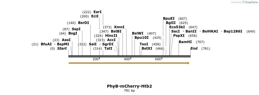 93724_map