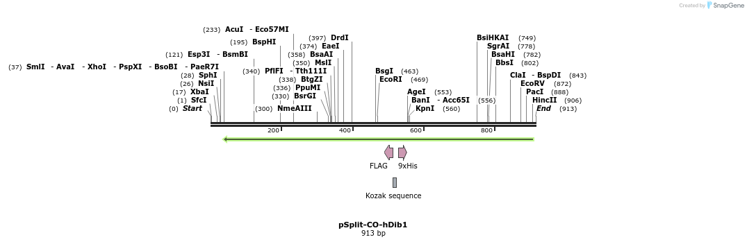 93725_map