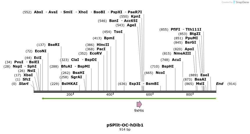 93726_map