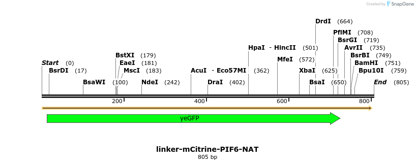 93727_map