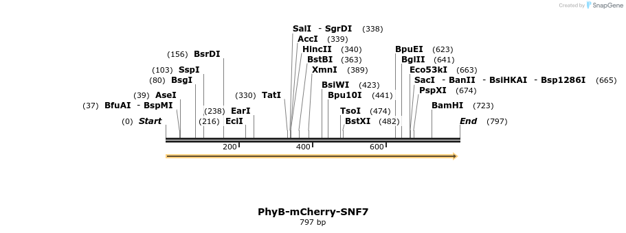 93729_map