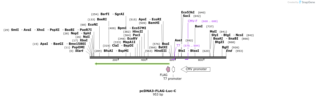 93732_map