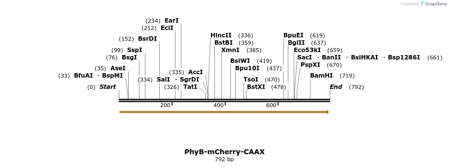 93733_map