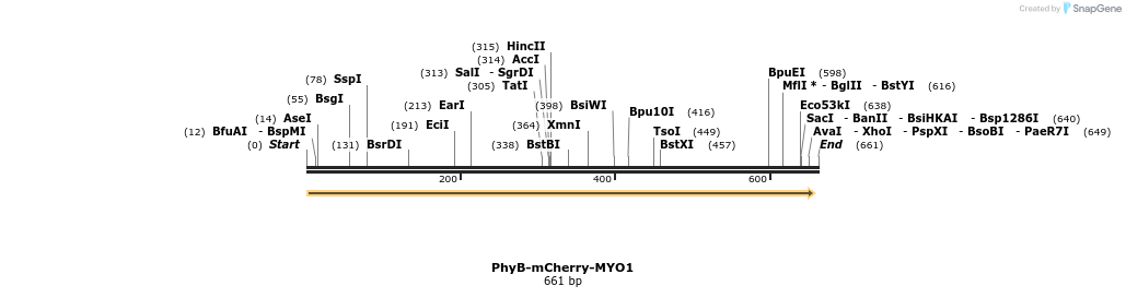93734_map