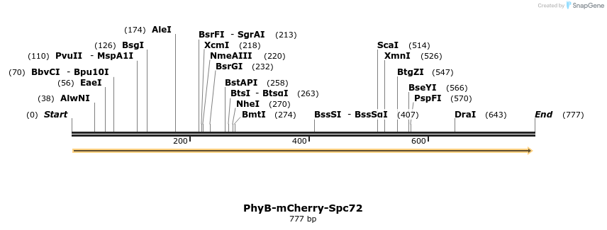 93737_map