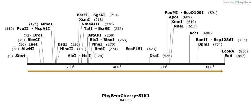 93741_map