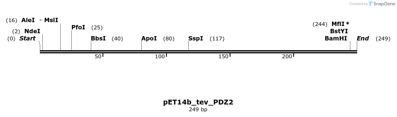 93742_map