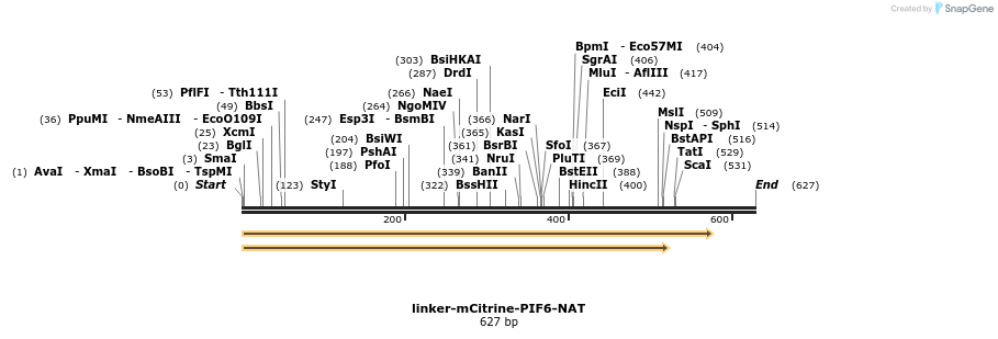 93749_map