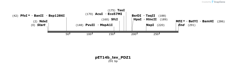93751_map