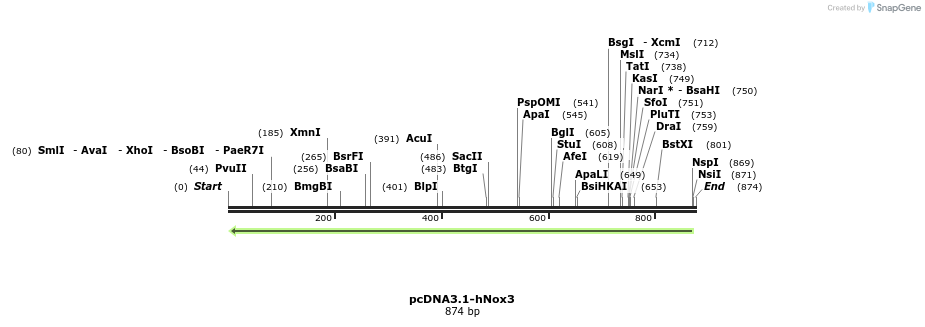 93760_map