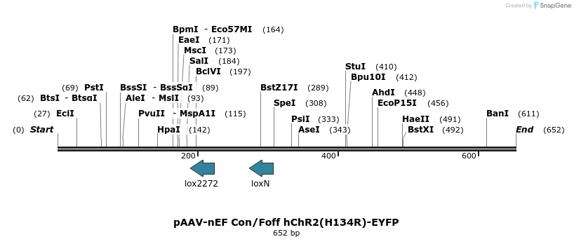 93762_map