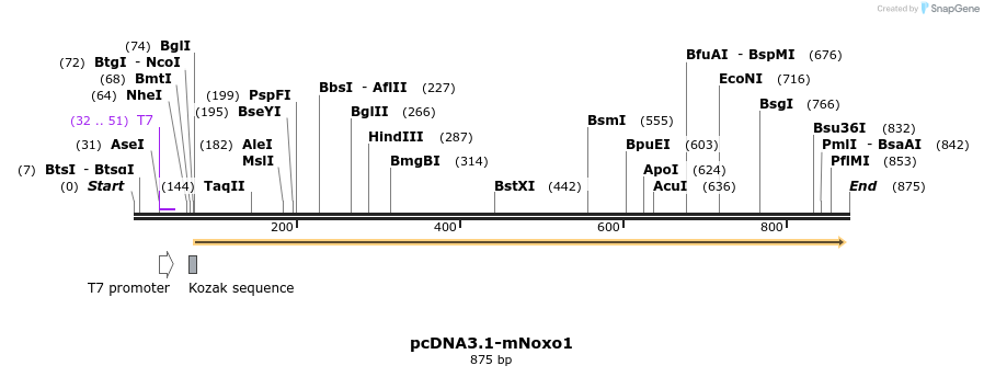 93766_map