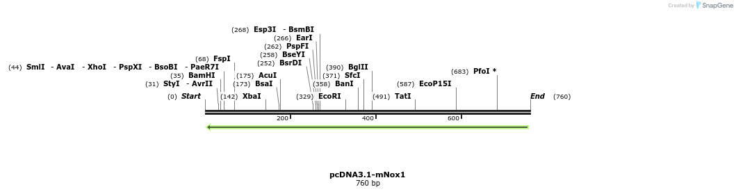 93770_map