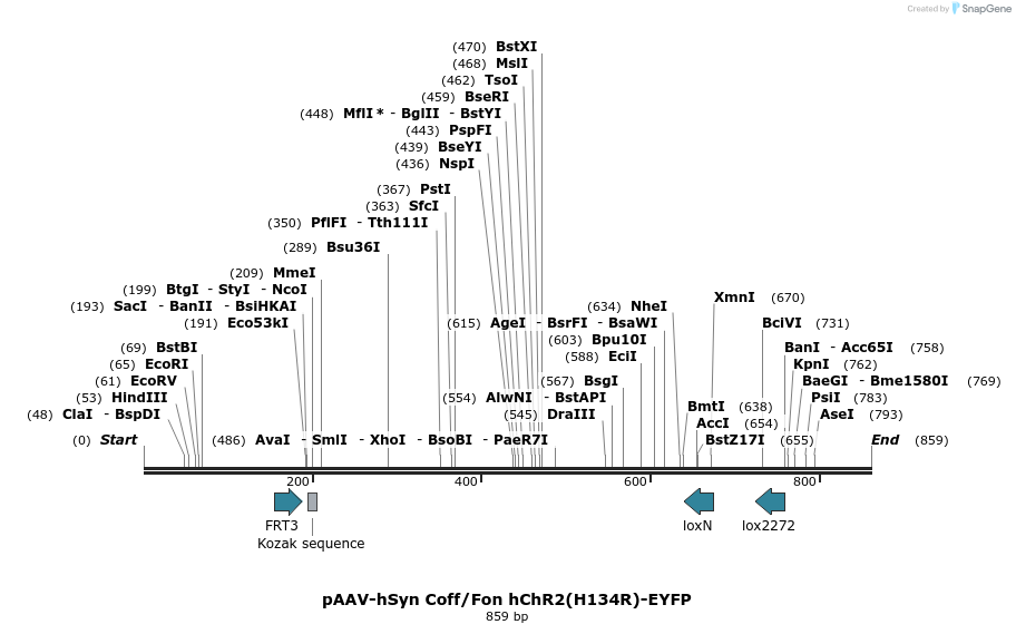 93771_map