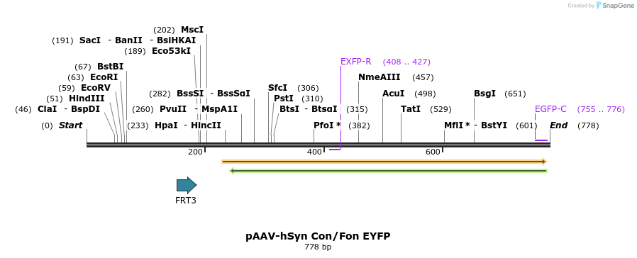 93773_map