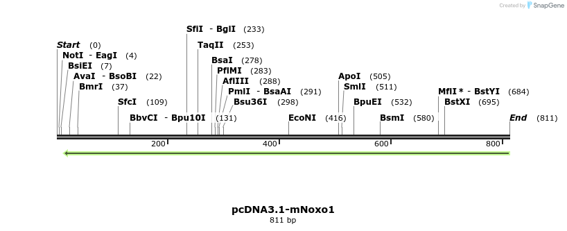 93774_map