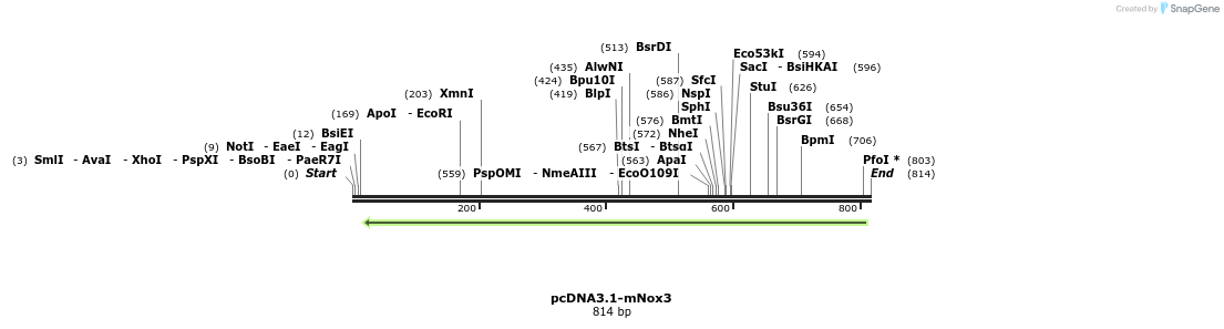 93775_map