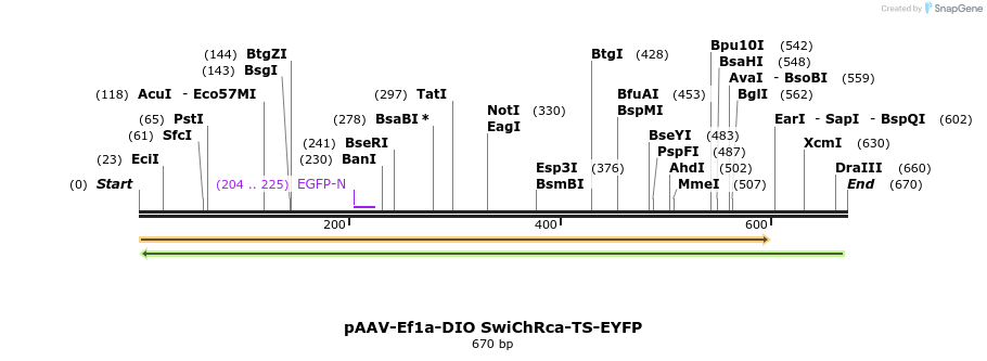 93778_map