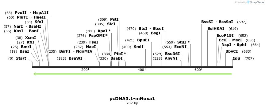 93781_map