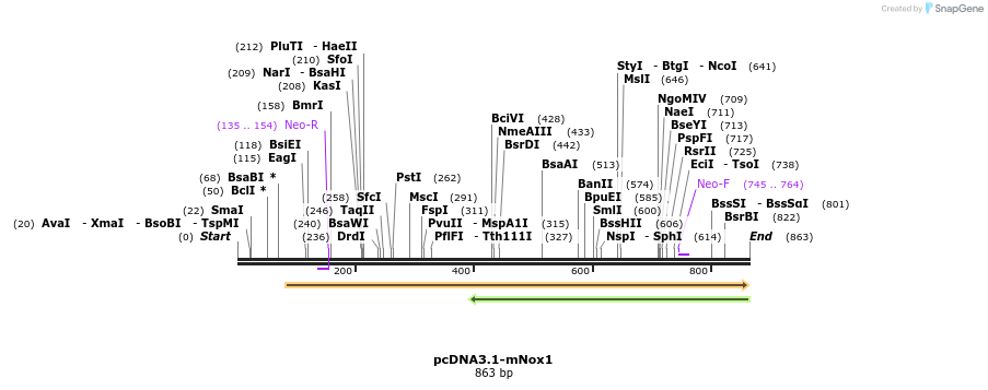 93783_map