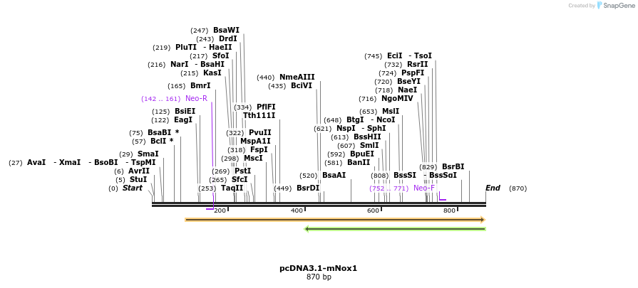 93784_map