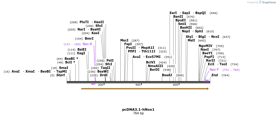 93788_map