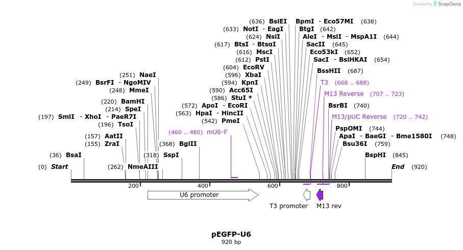 9379_map