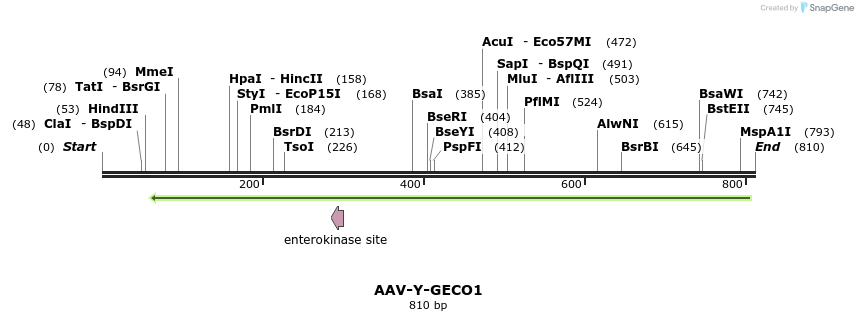 93791_map