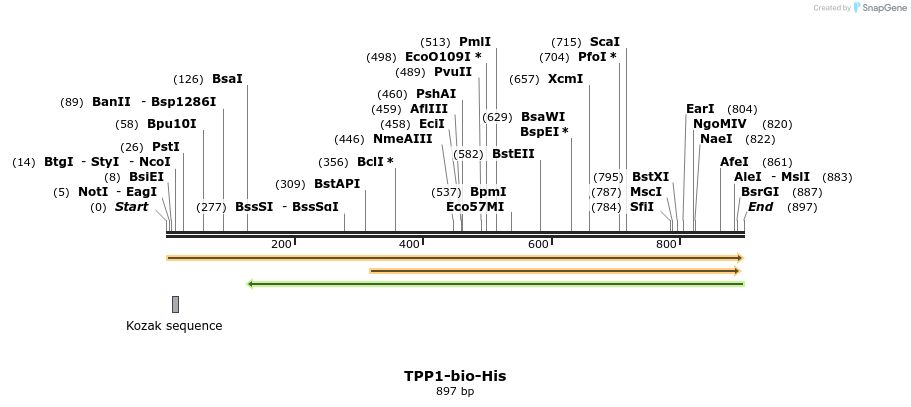 93796_map