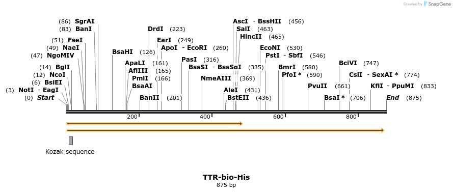 93797_map