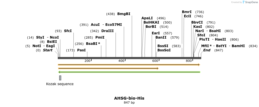 93798_map