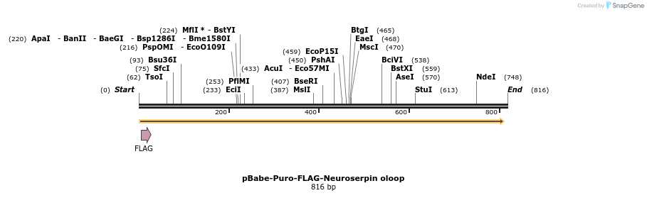93801_map