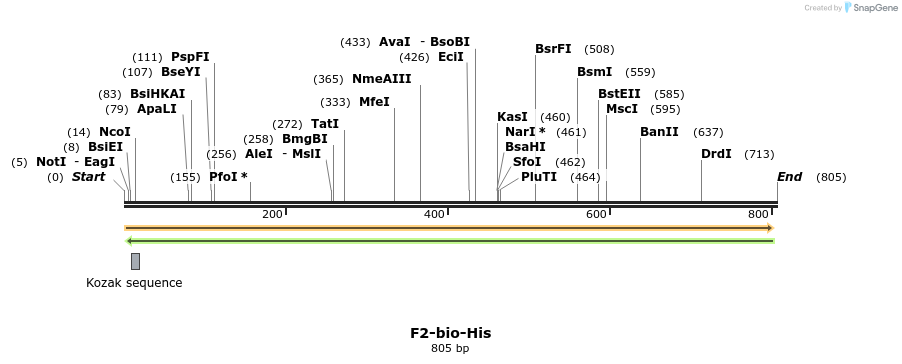 93802_map