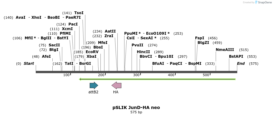 93806_map