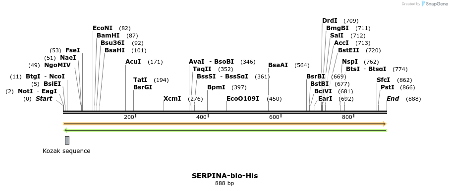 93807_map