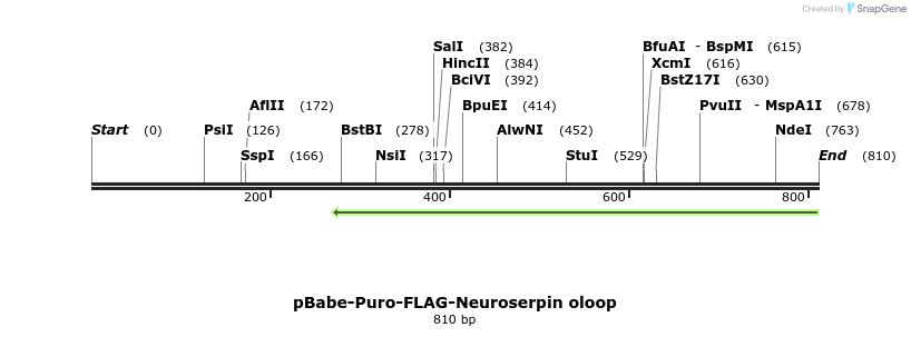93808_map