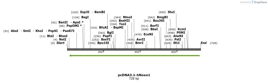 93809_map