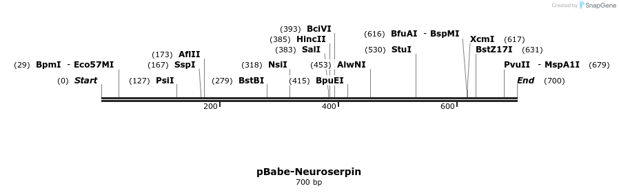 93814_map